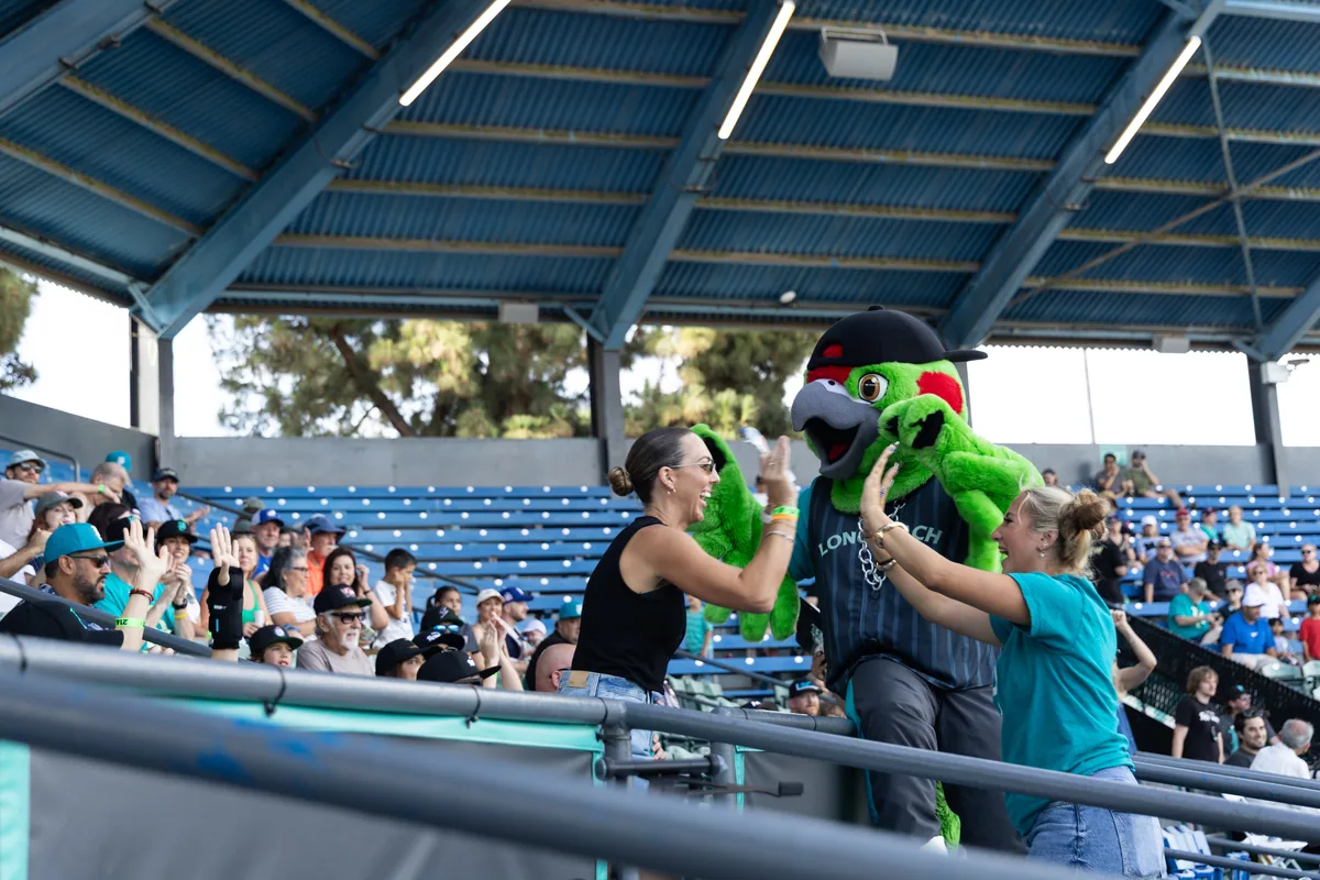 Hands up in the stands as the mascot passes through